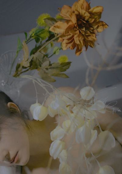 日韩中文人妻无码不卡一区_电视剧高清在线观看